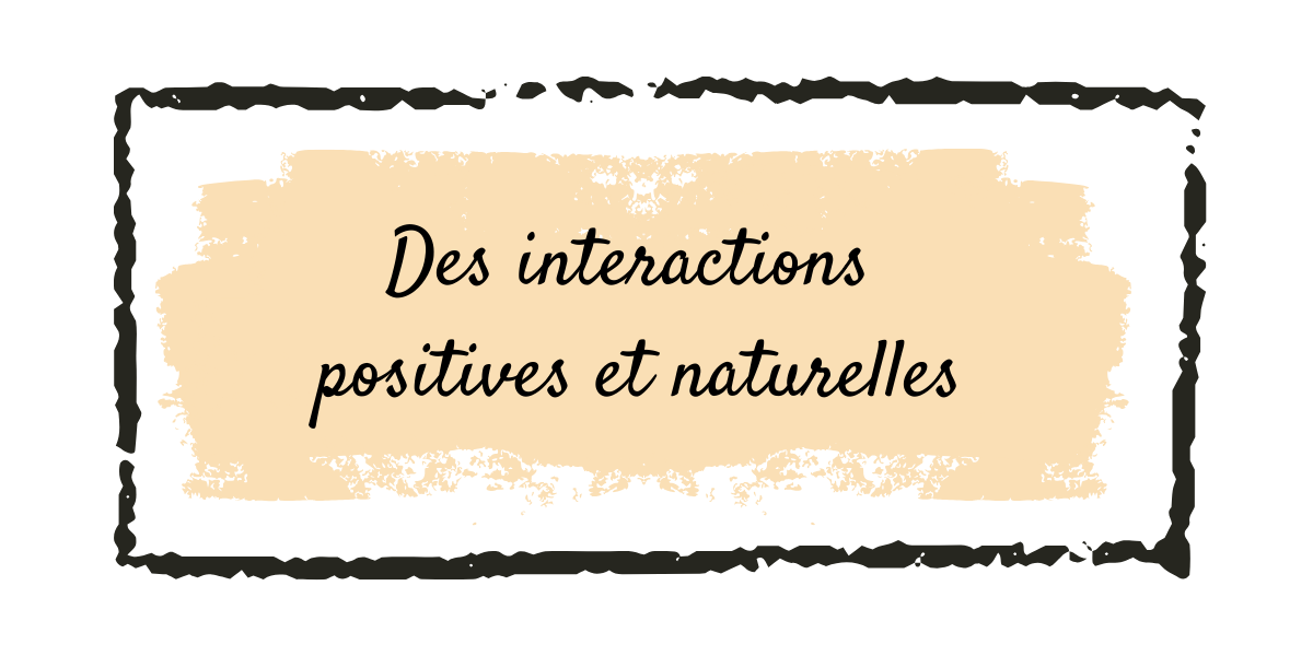 https://leclosdespattounes.fr/wp-content/uploads/2026/02/Copie-de-600-x-600-3.png