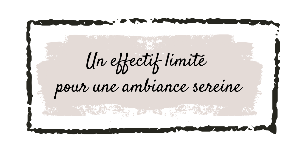 https://leclosdespattounes.fr/wp-content/uploads/2026/02/Copie-de-600-x-600-4.png