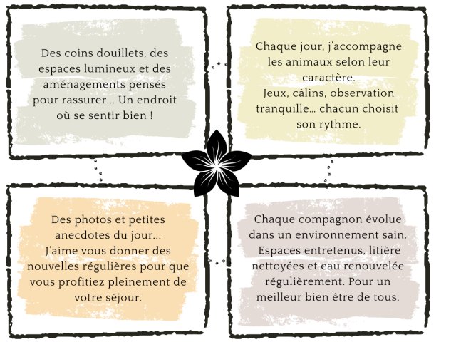 Copie de Le Clos - Images pour site (80 x 80 px) (500 x 500 px) (3) https://leclosdespattounes.fr/wp-content/uploads/2026/02/Copie-de-Le-Clos-Images-pour-site-80-x-80-px-500-x-500-px-3-640x480.png
