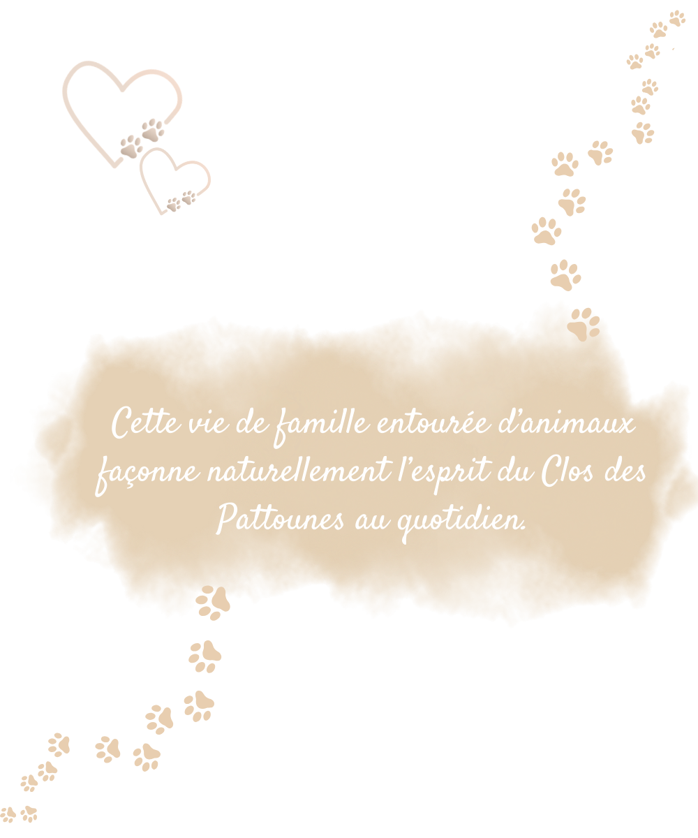 https://leclosdespattounes.fr/wp-content/uploads/2026/02/Copie-de-MIAOU-2.png